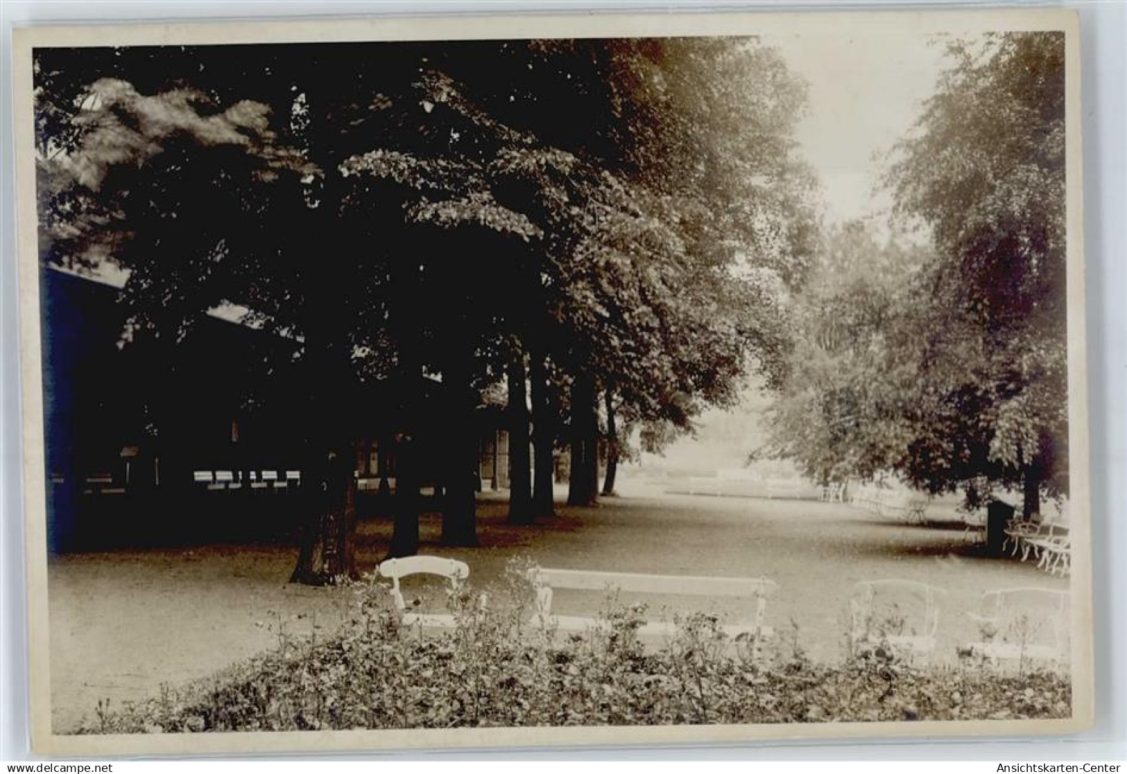 50822075 - Bad Driburg