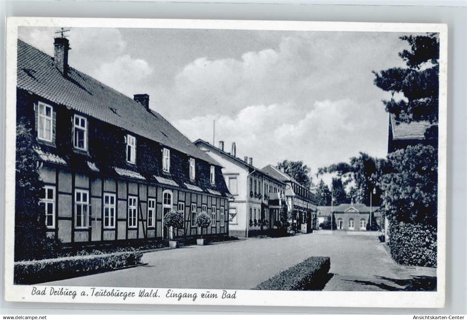50822165 - Bad Driburg