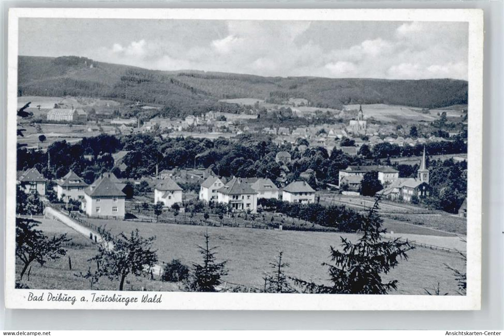 50822577 - Bad Driburg