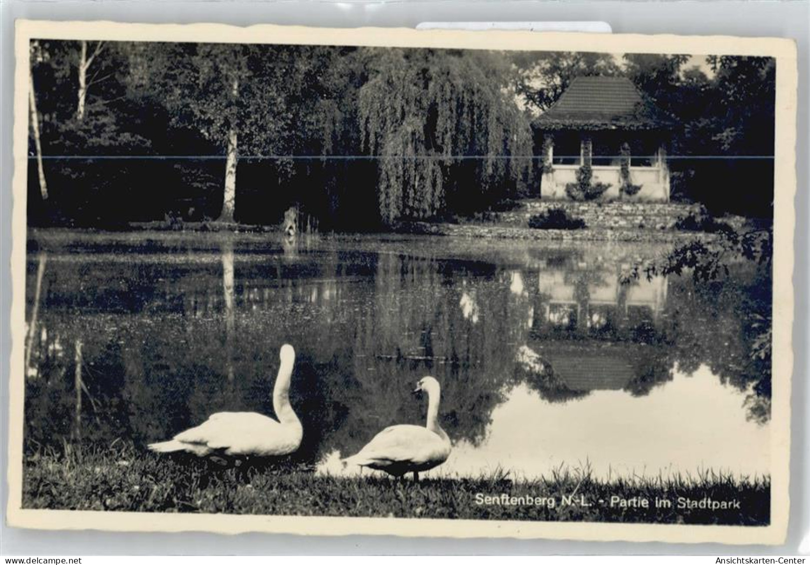 50825001 - Senftenberg