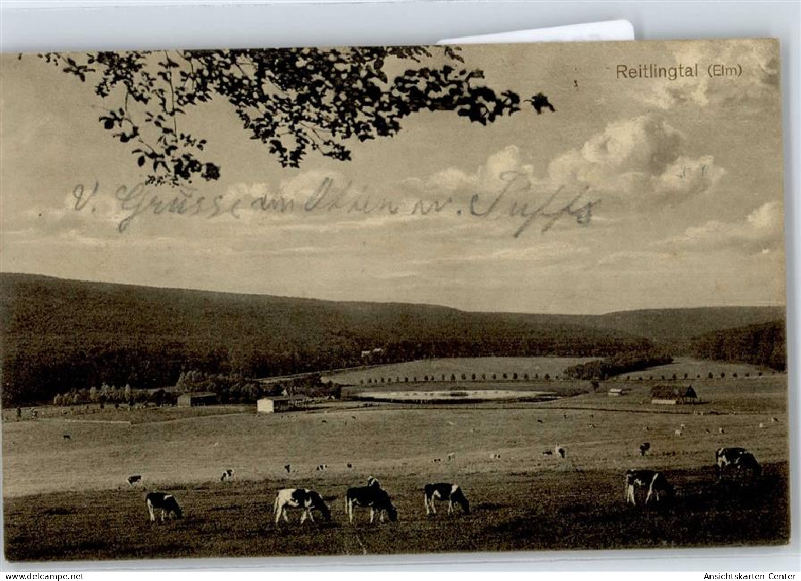 50826957 - Koenigslutter am Elm