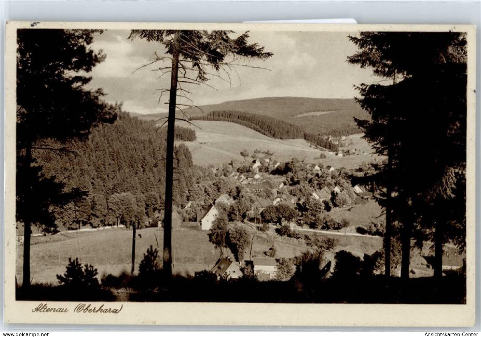 50828451 - Altenau , Harz