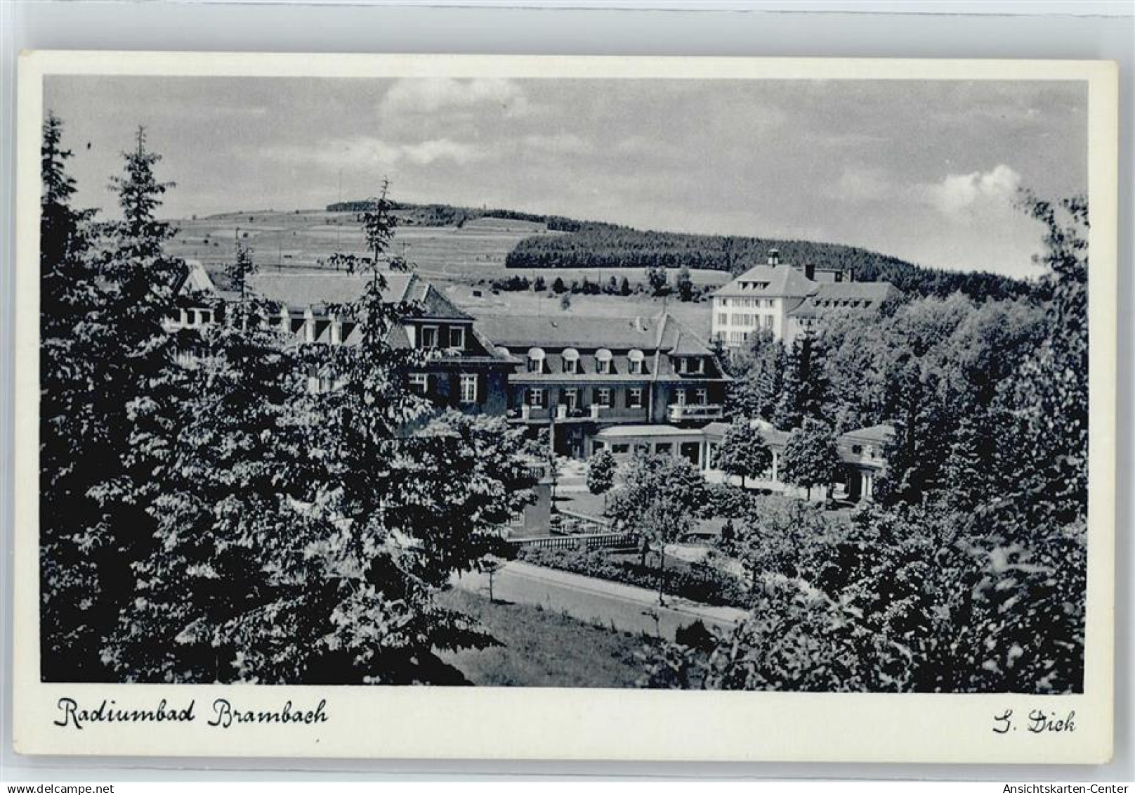 50831164 - Bad Brambach