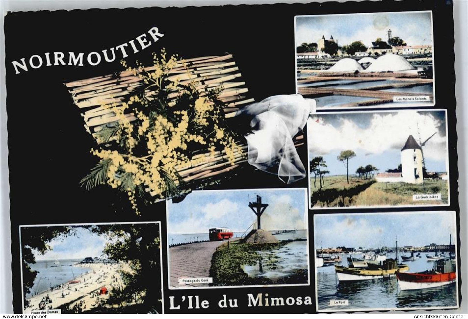 50835344 - Noirmoutier-en-lIle