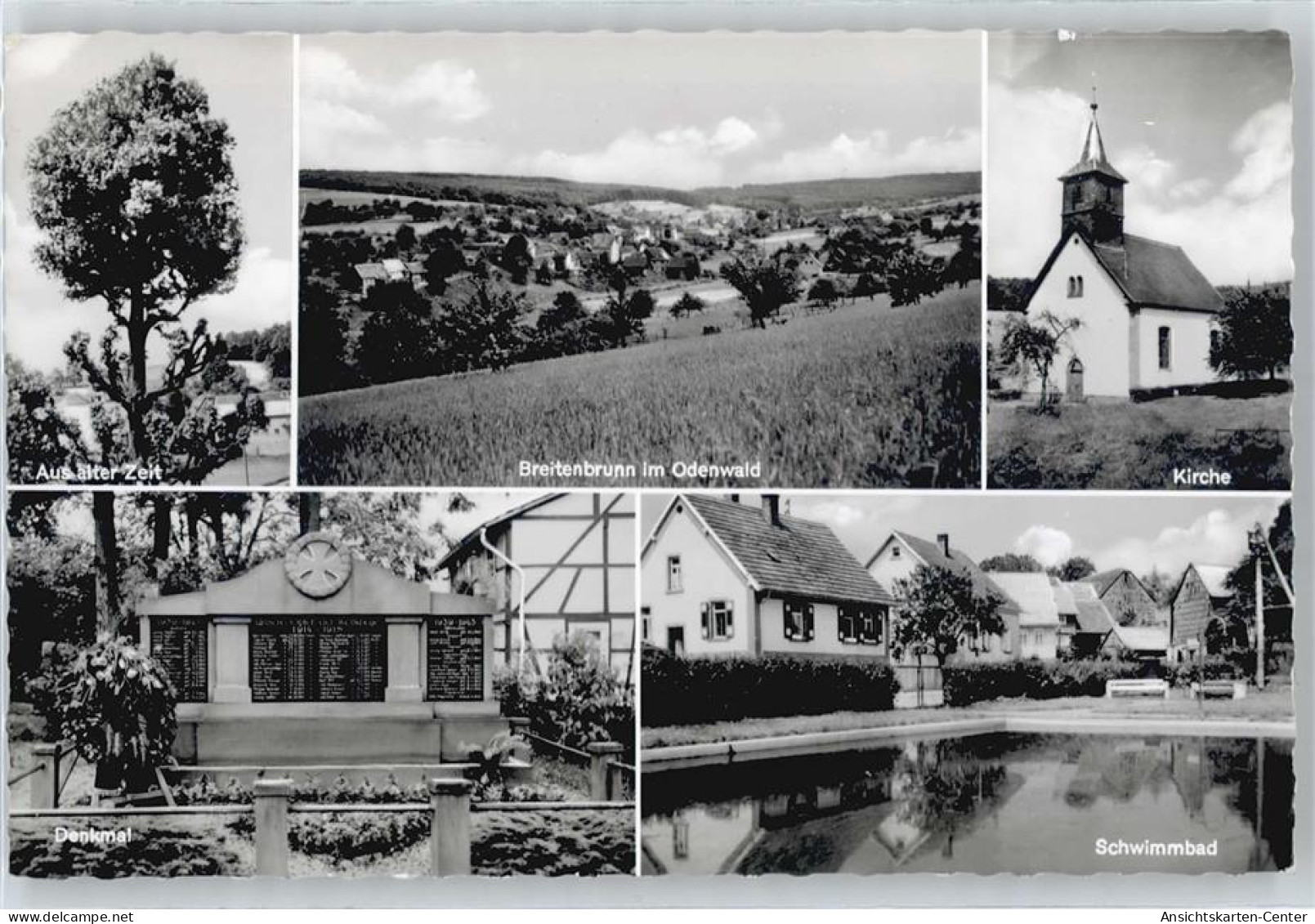 50836068 - Breitenbrunn , Odenw