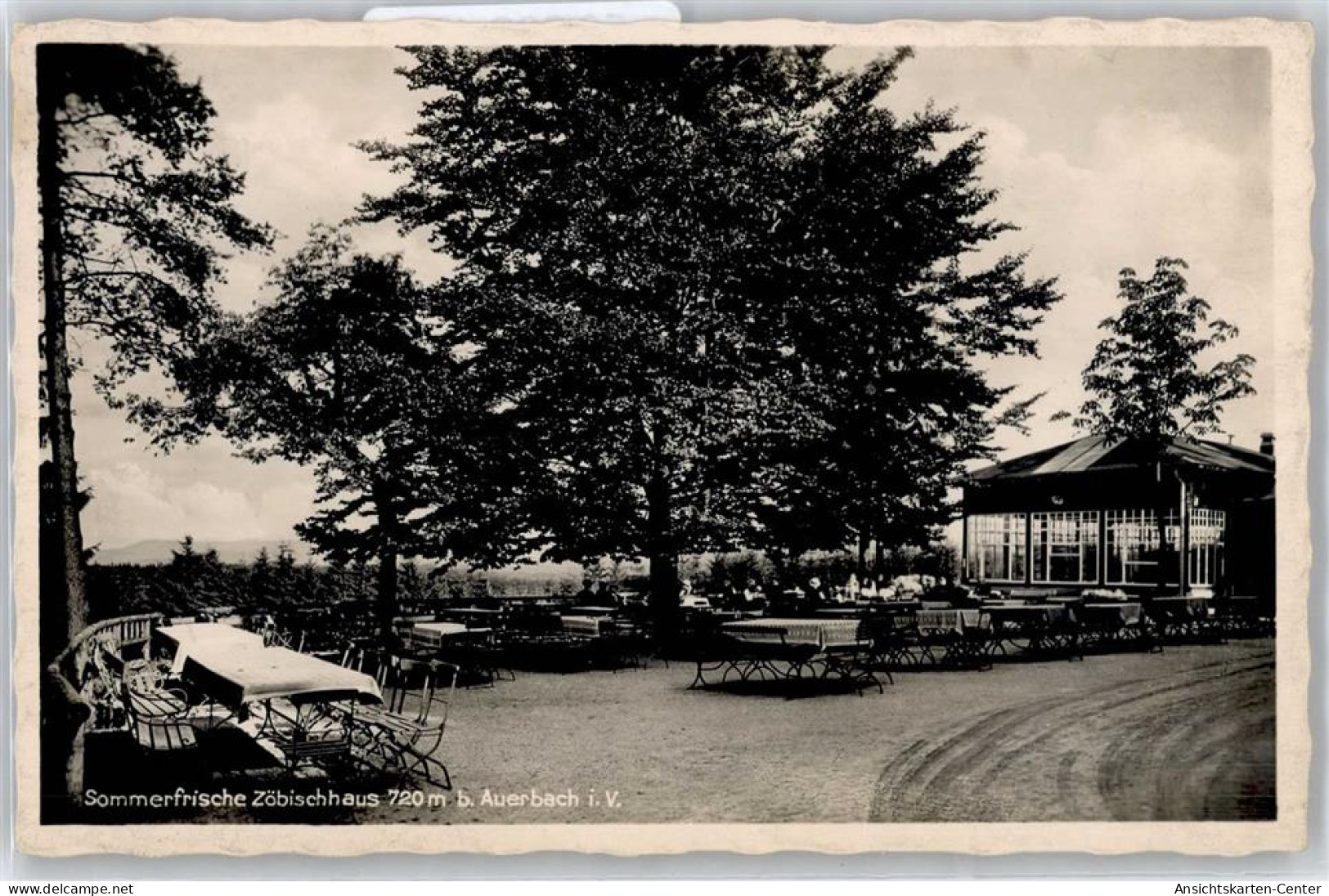 50838450 - Auerbach , Vogtl