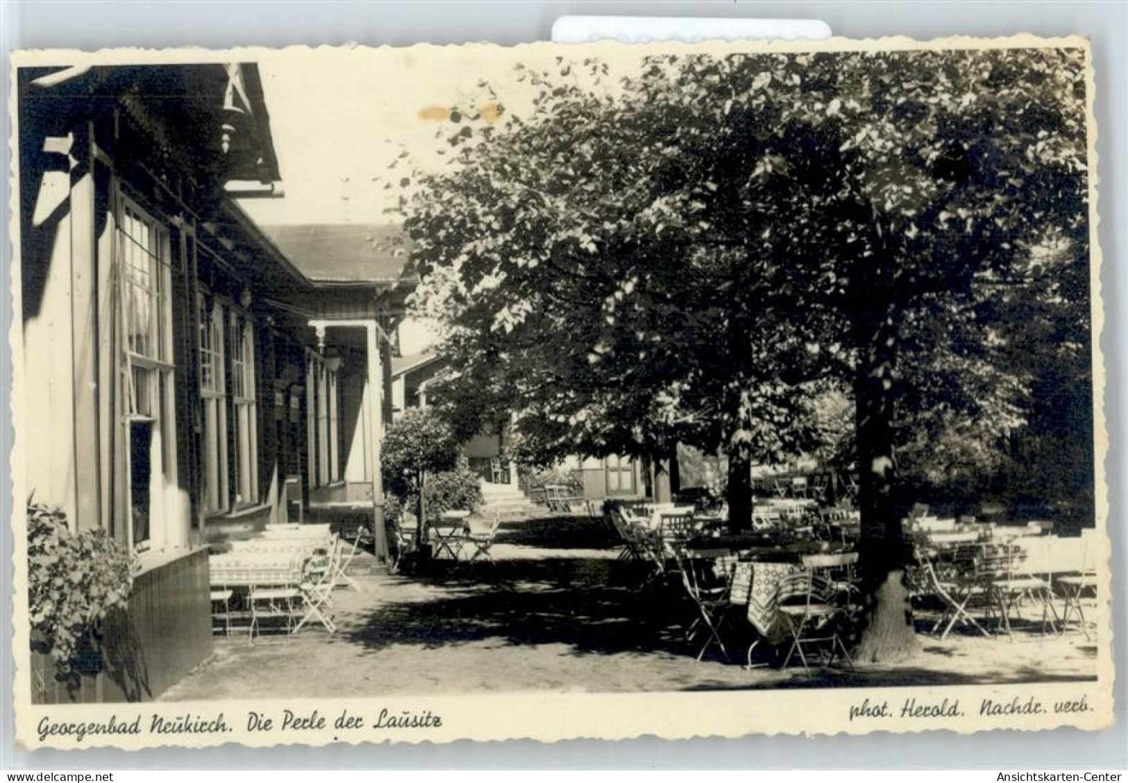 50838836 - Neukirch ,Lausitz