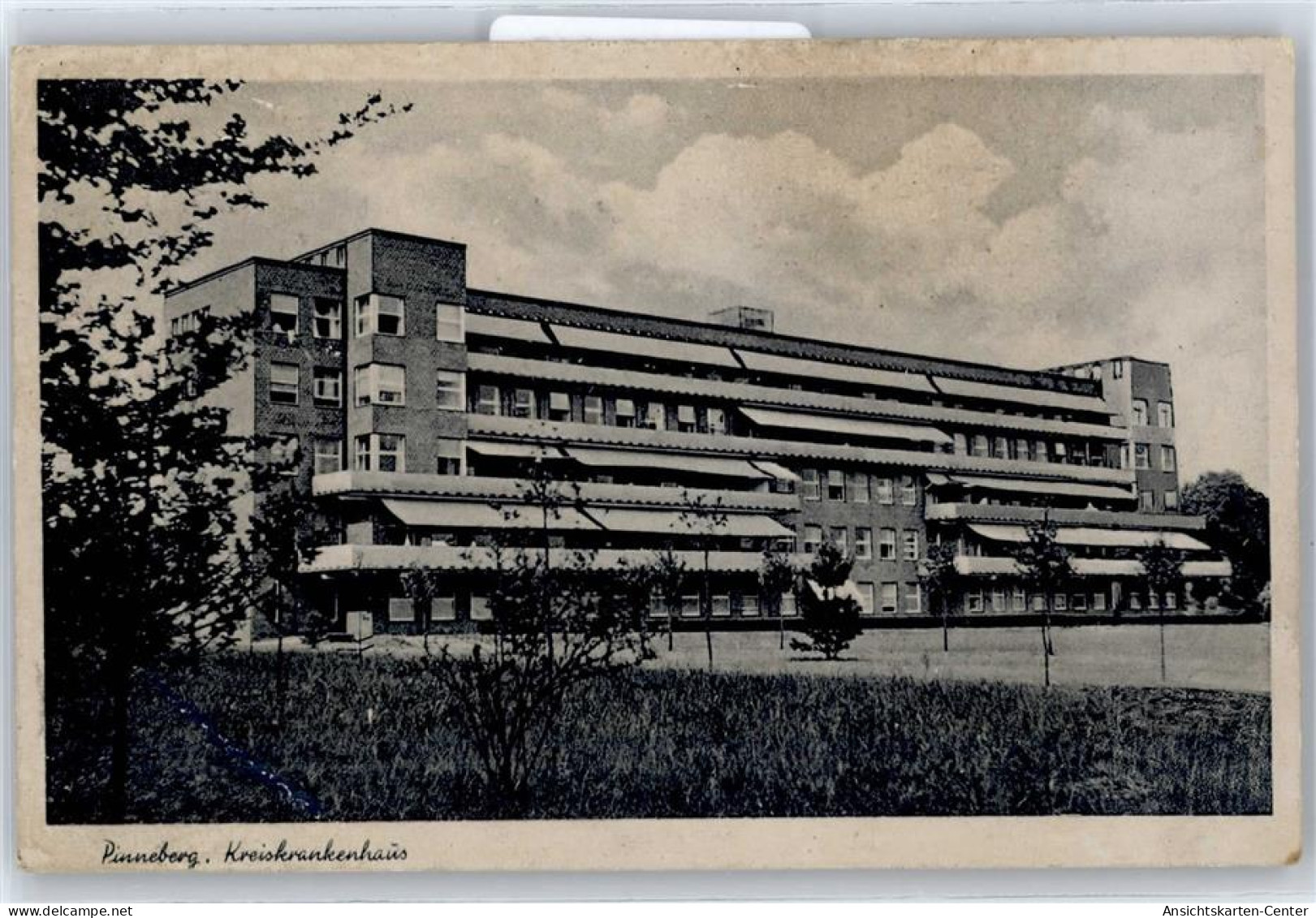 50839449 - Pinneberg