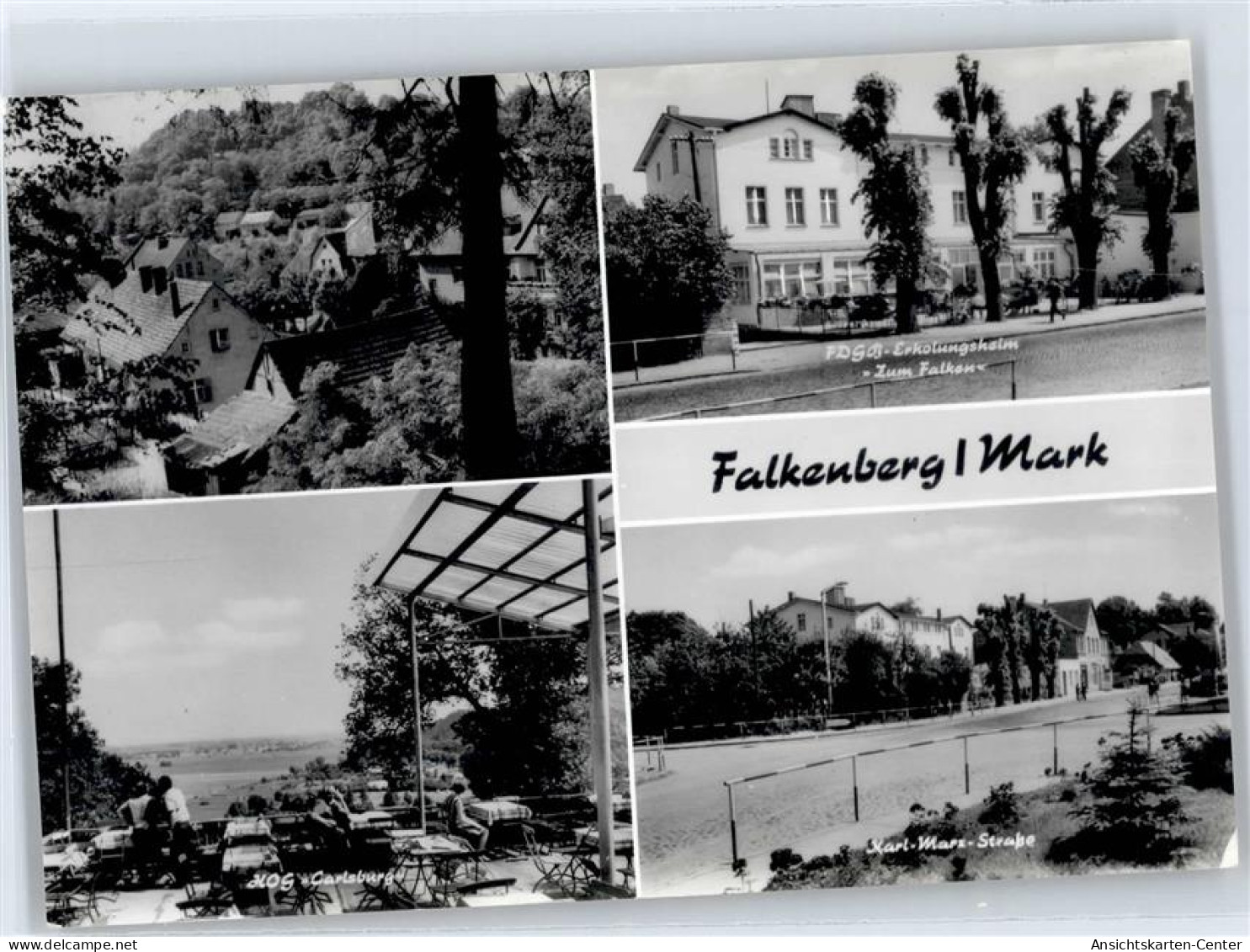 50839487 - Falkenberg , Mark