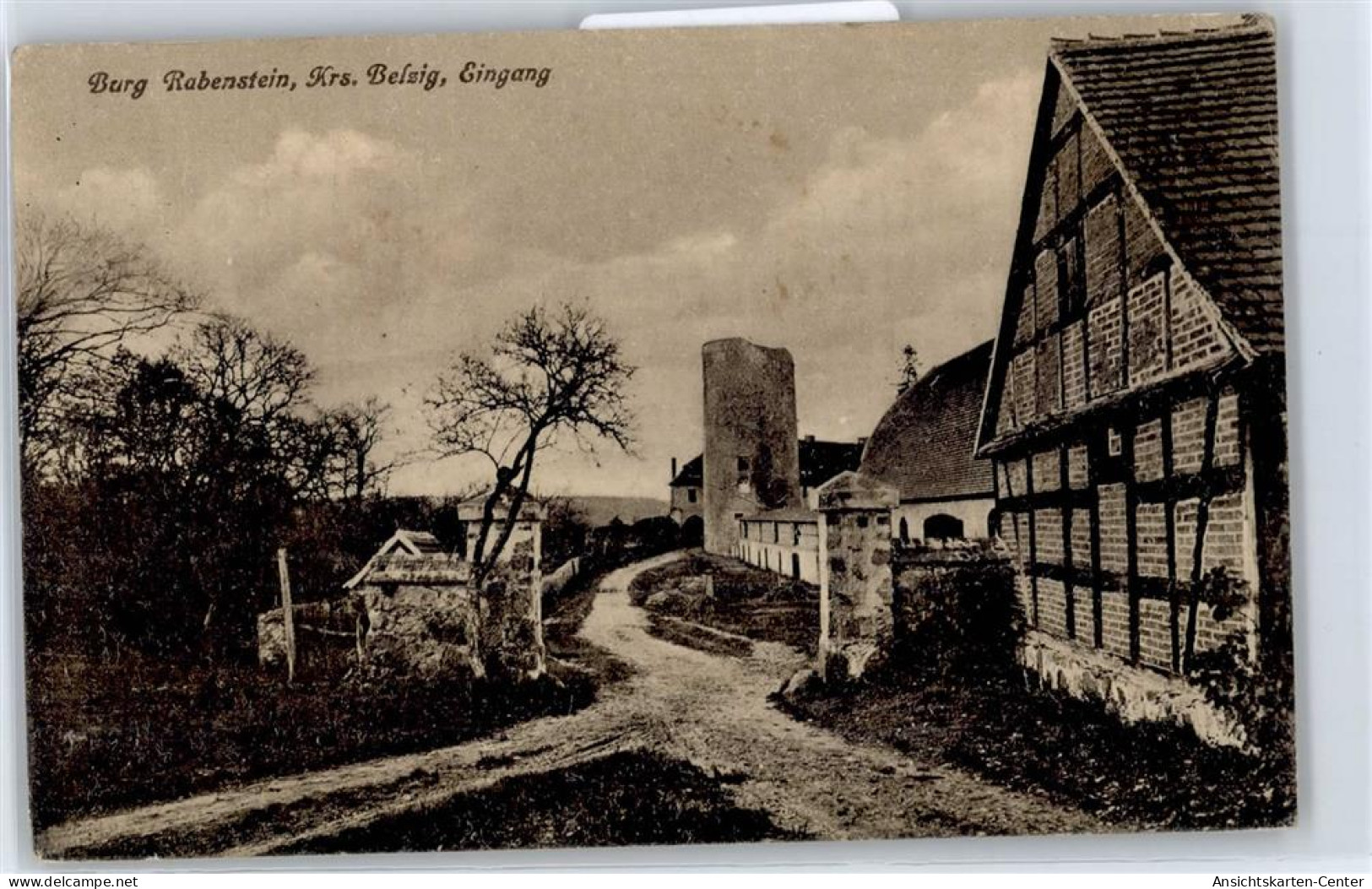 50839956 - Raben b Niemegk