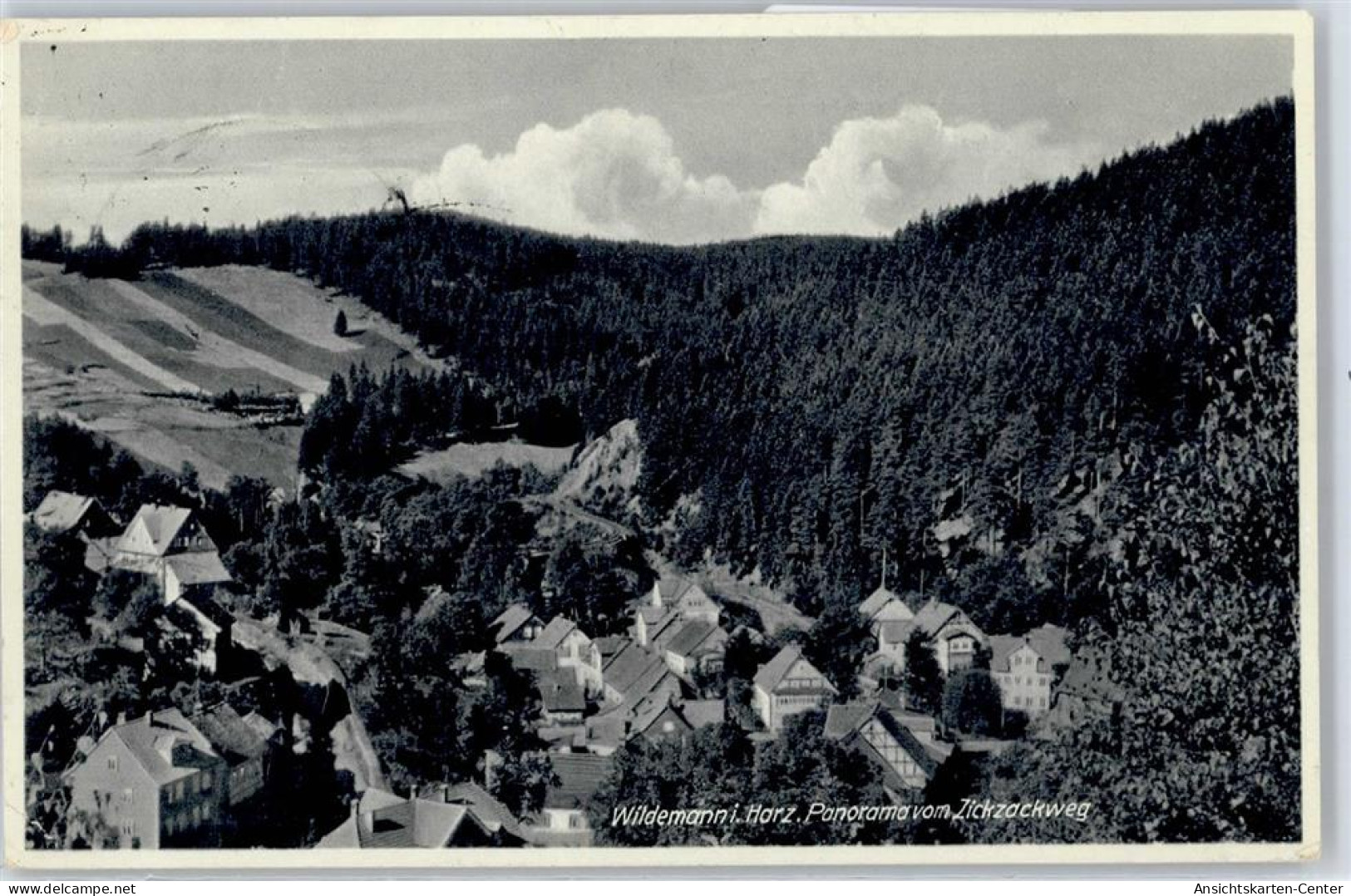 50846177 - Wildemann