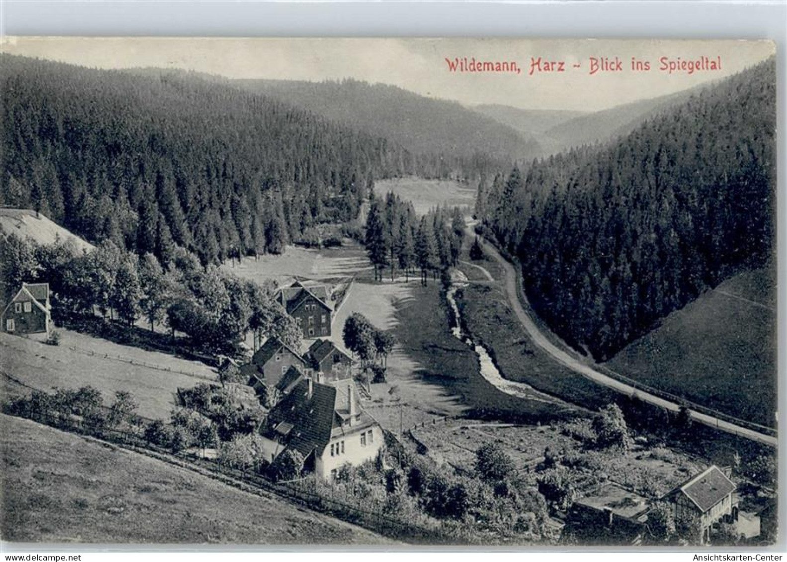 50846349 - Wildemann