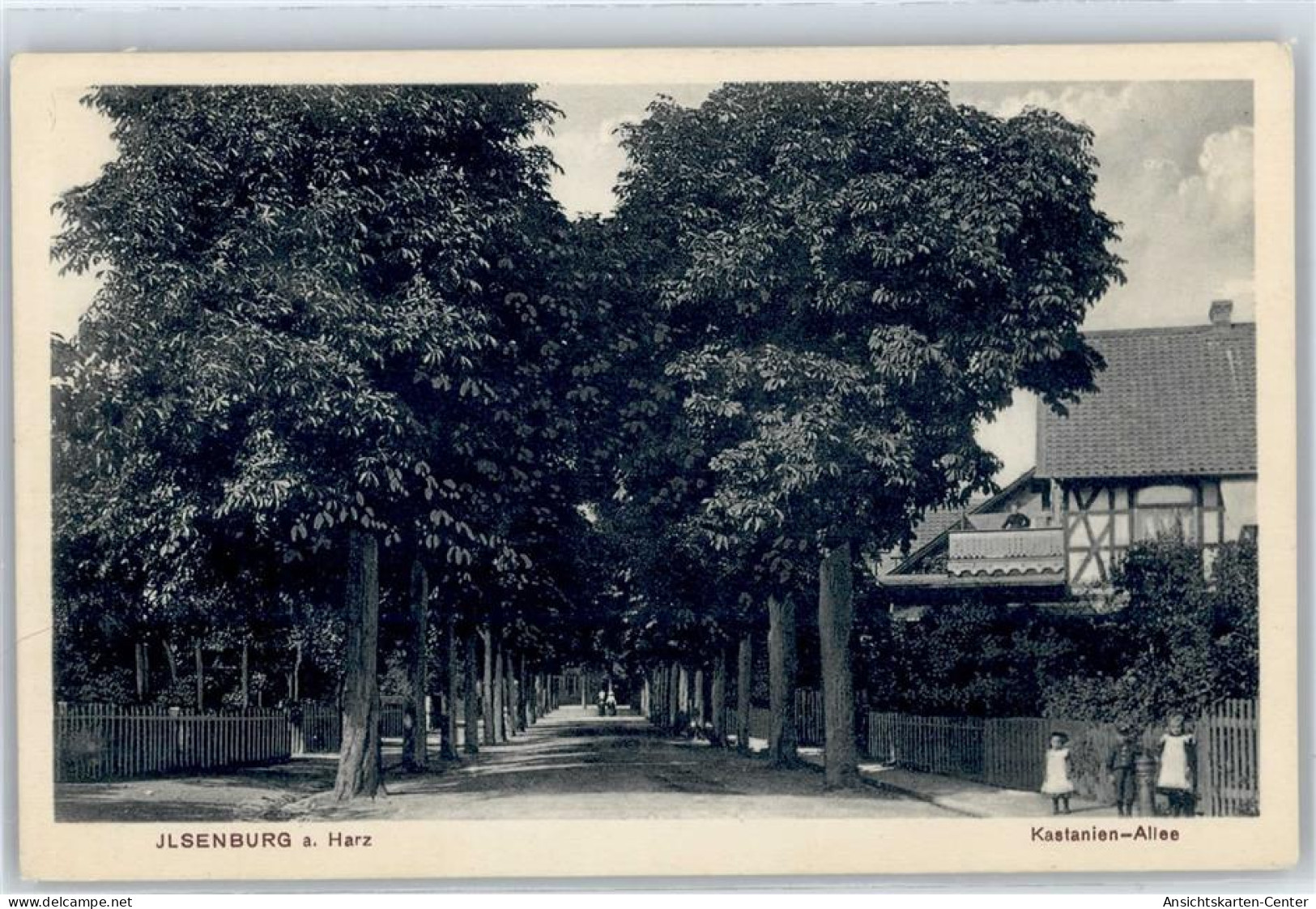 50850718 - Ilsenburg