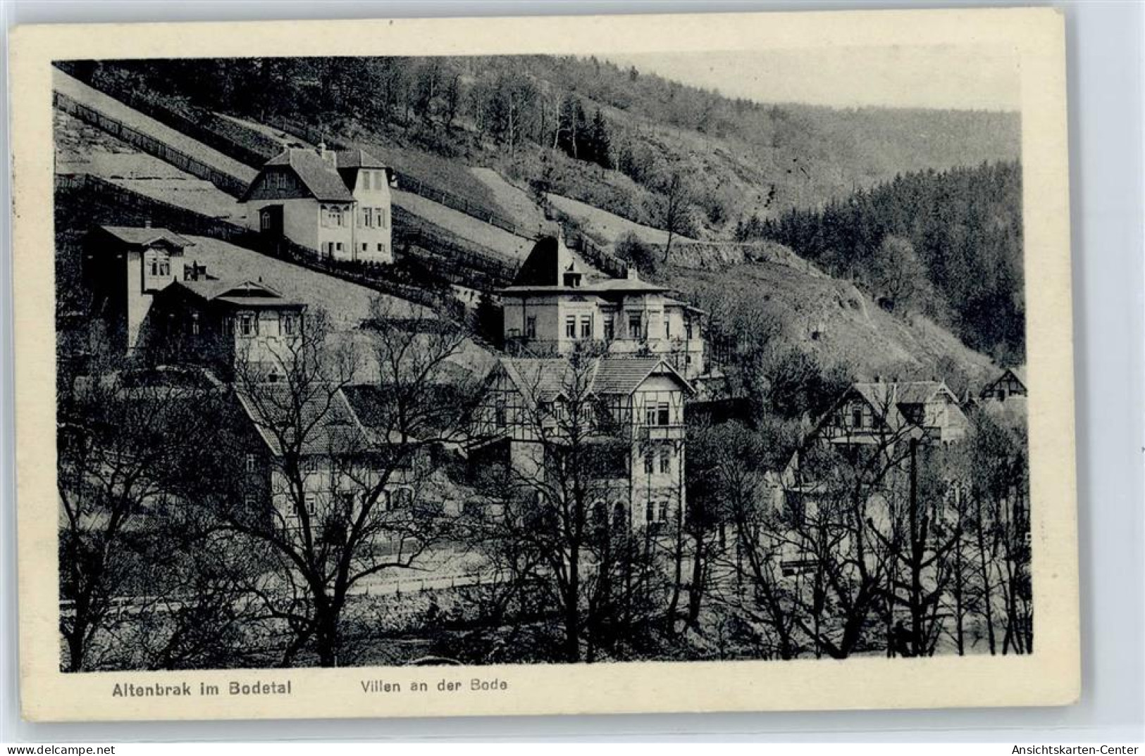 50852110 - Altenbrak