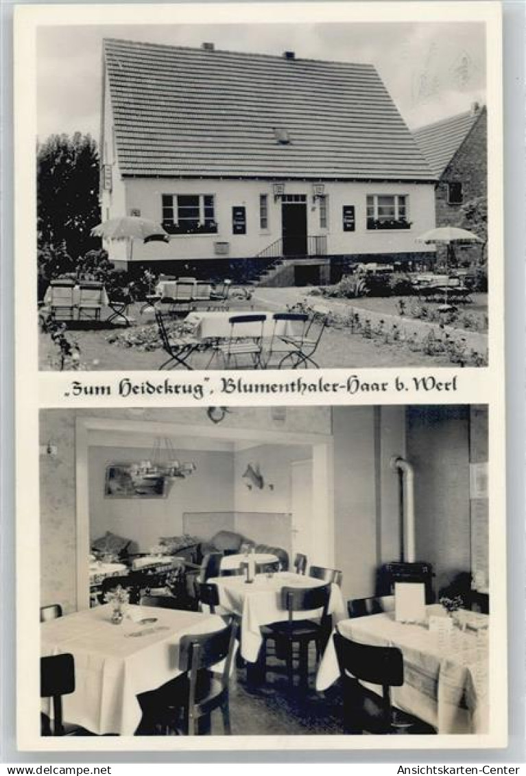 50852705 - Blumenthaler-Haar