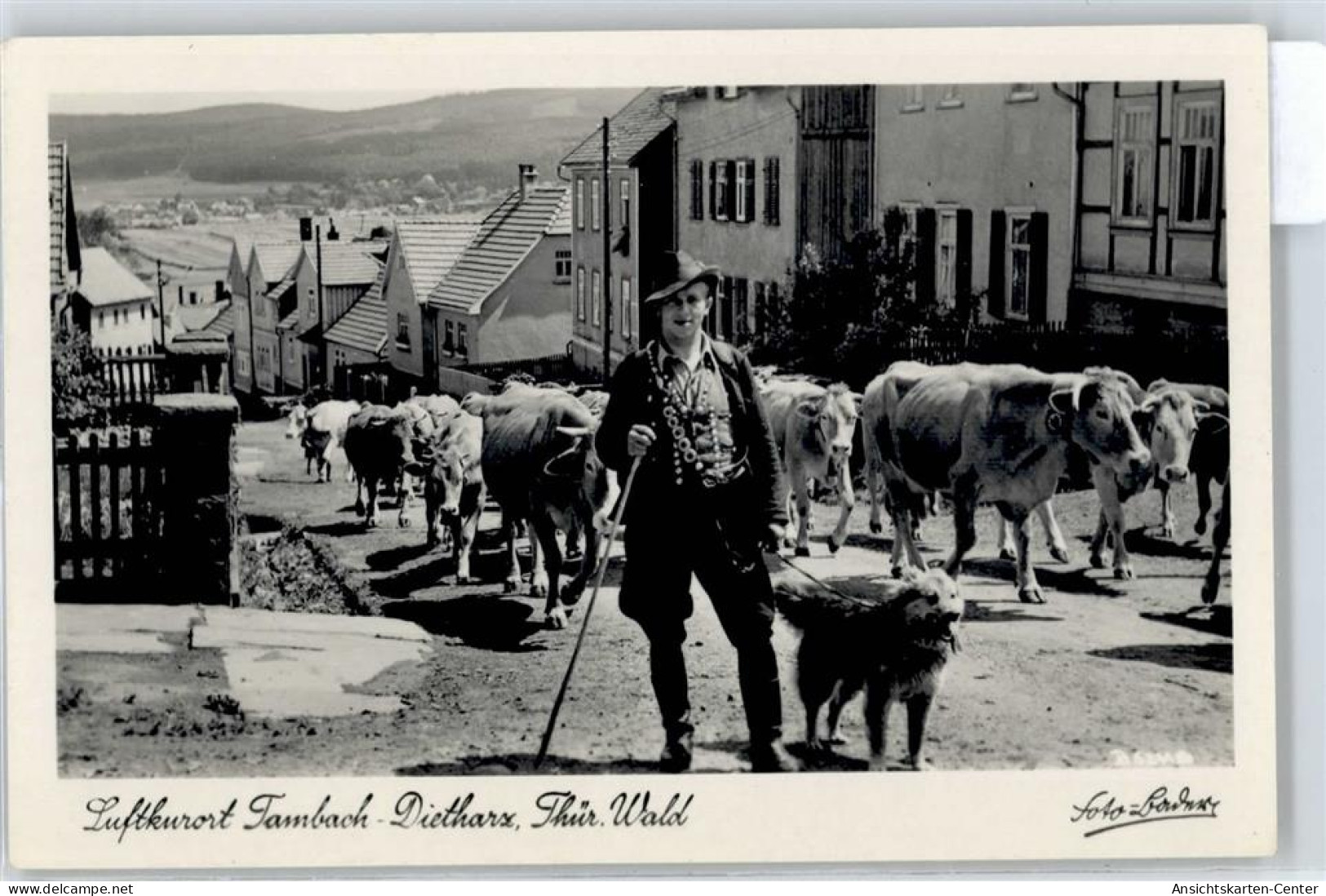 50854167 - Tambach-Dietharz , Thueringer Wald