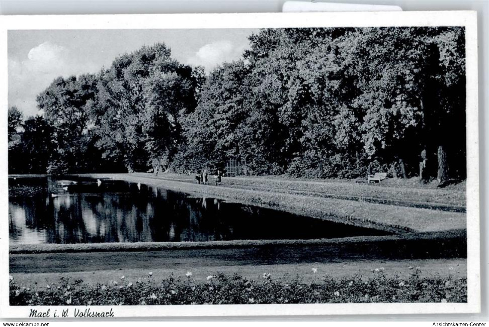 50854974 - Marl , Westf