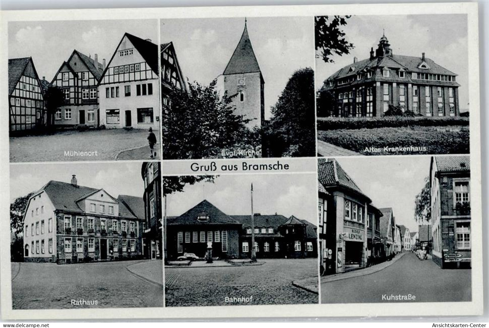 50857192 - Bramsche , Hase