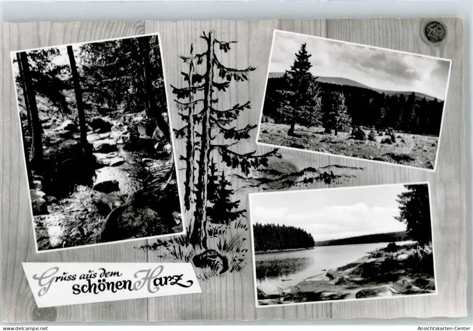 50857246 - Bad Harzburg