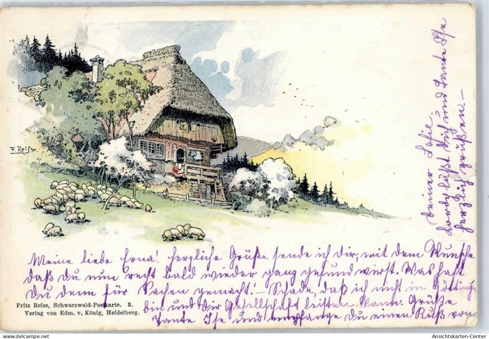 50858586 - Offenburg