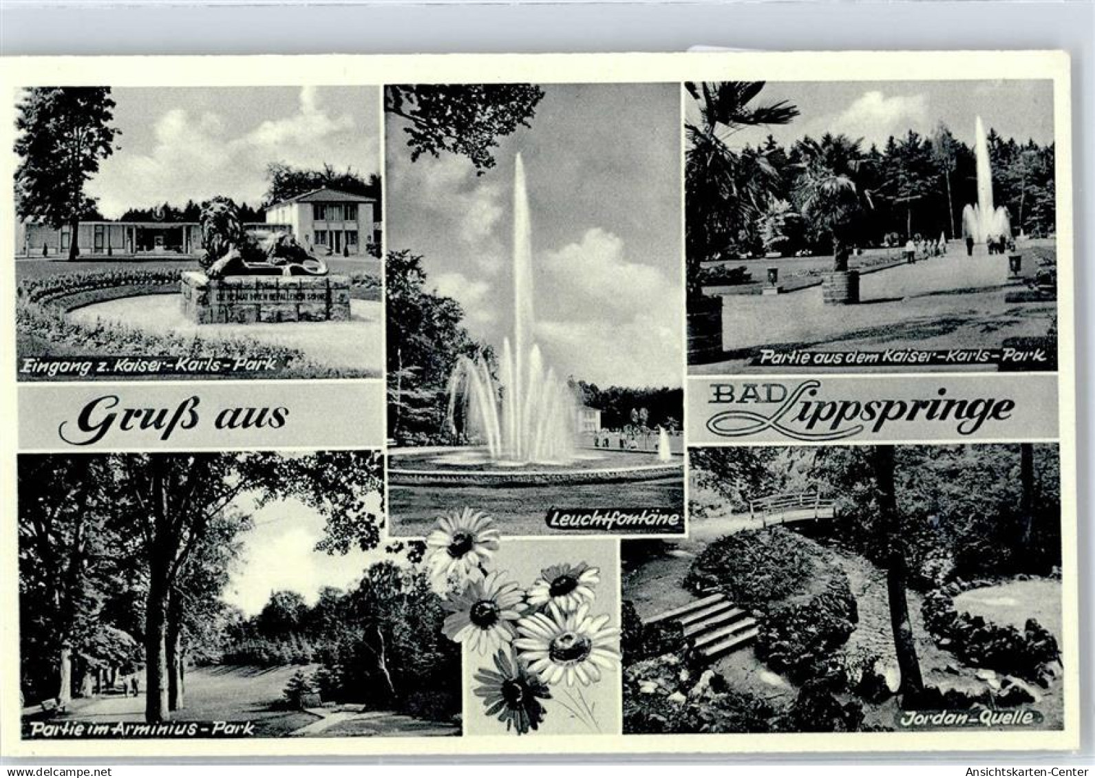 50858825 - Bad Lippspringe
