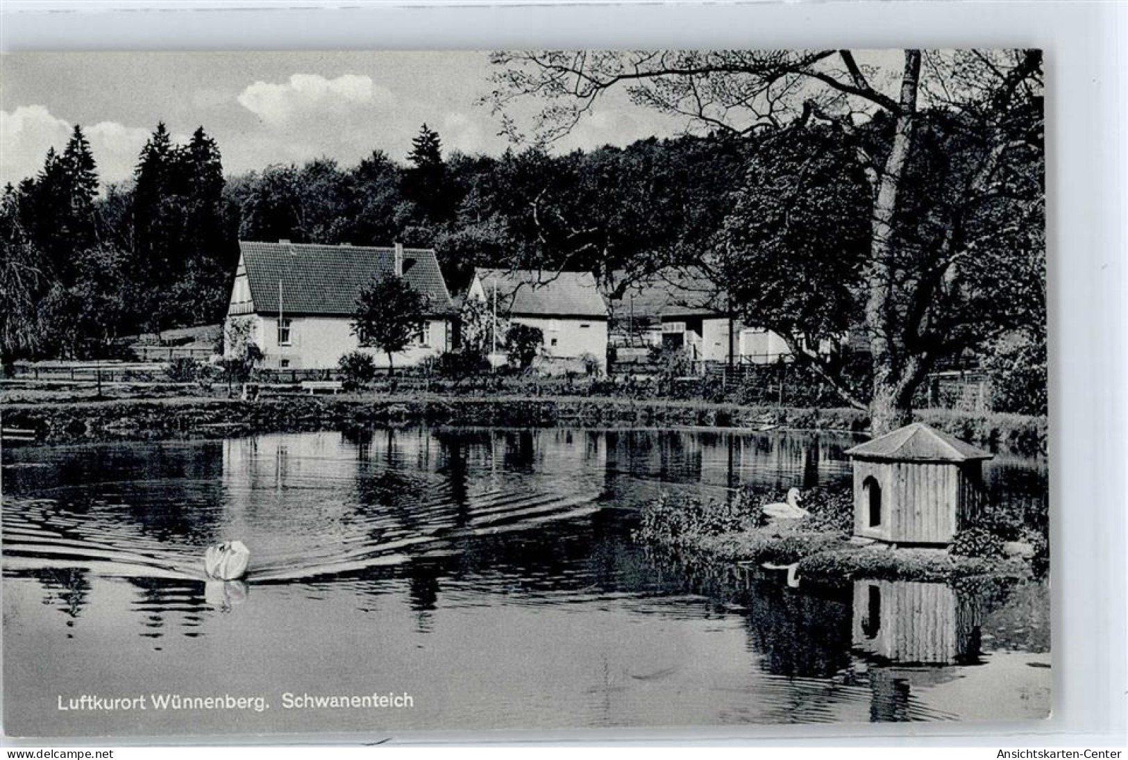 50858836 - Wuennenberg