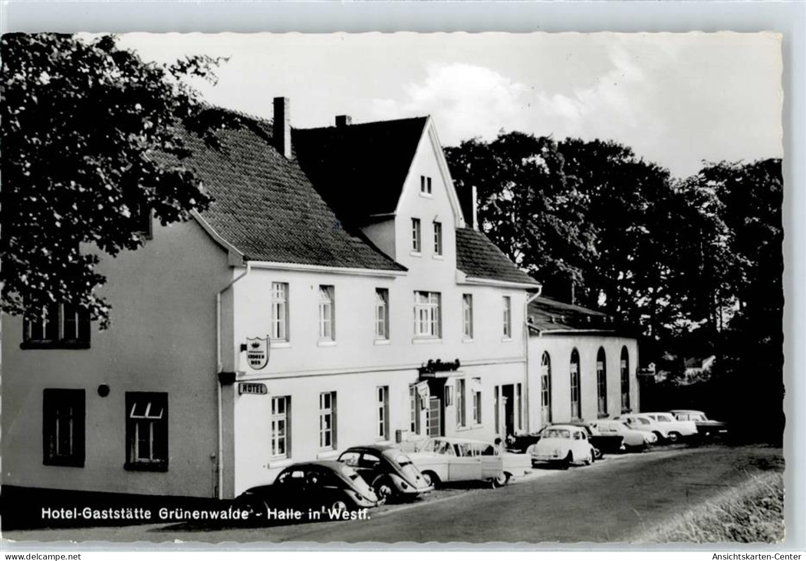 50858858 - Halle (Westf.)