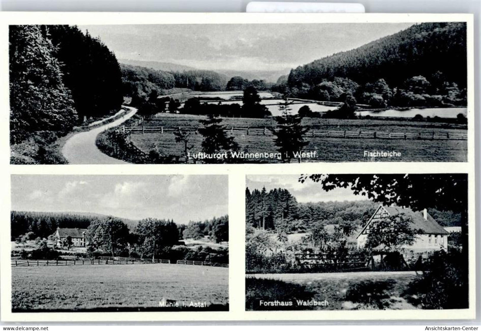 50859024 - Wuennenberg