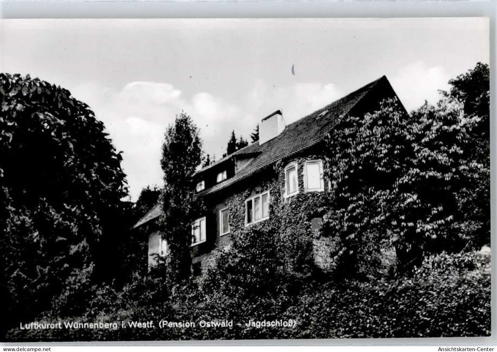 50859088 - Wuennenberg