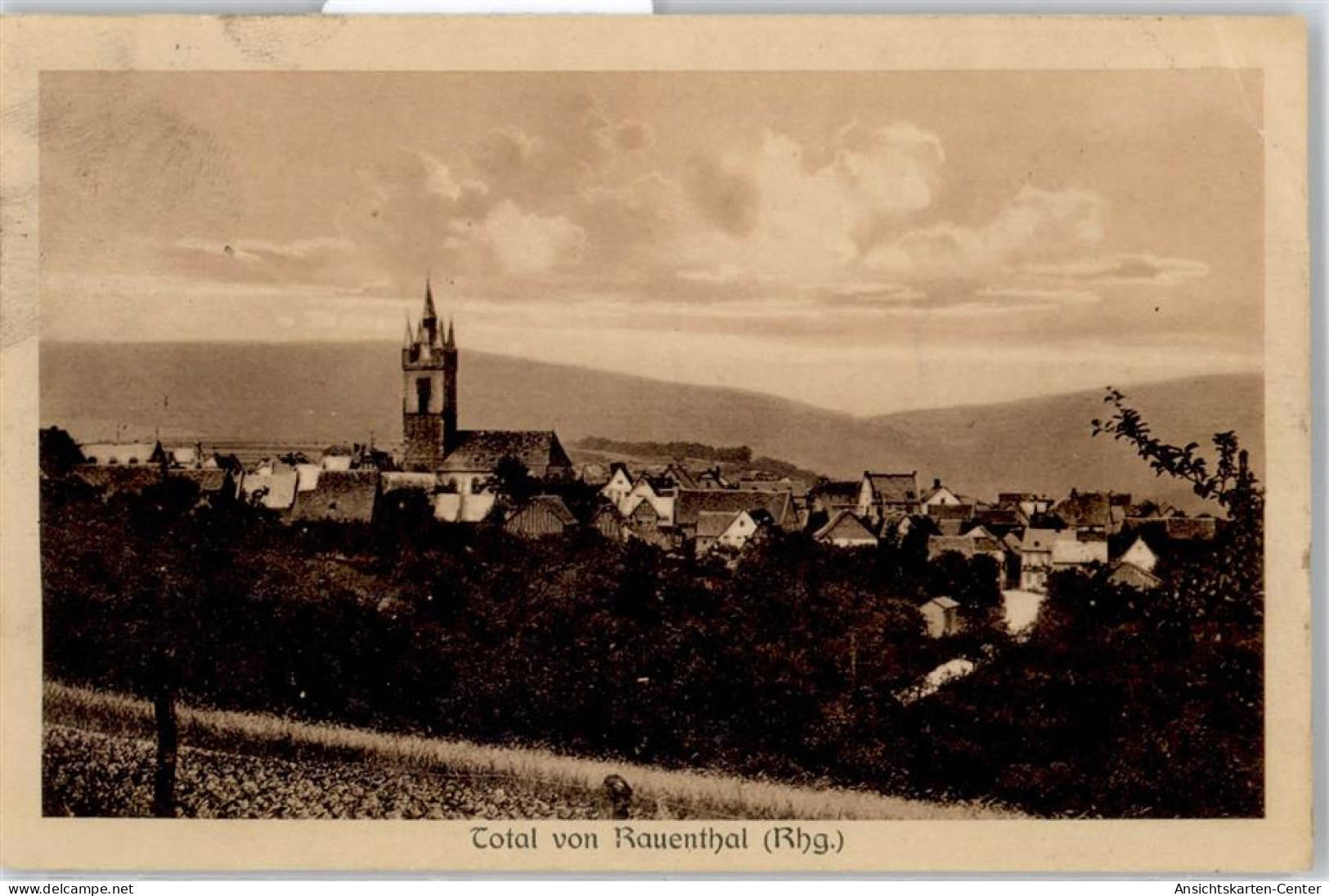 50859450 - Rauenthal , Rheingau