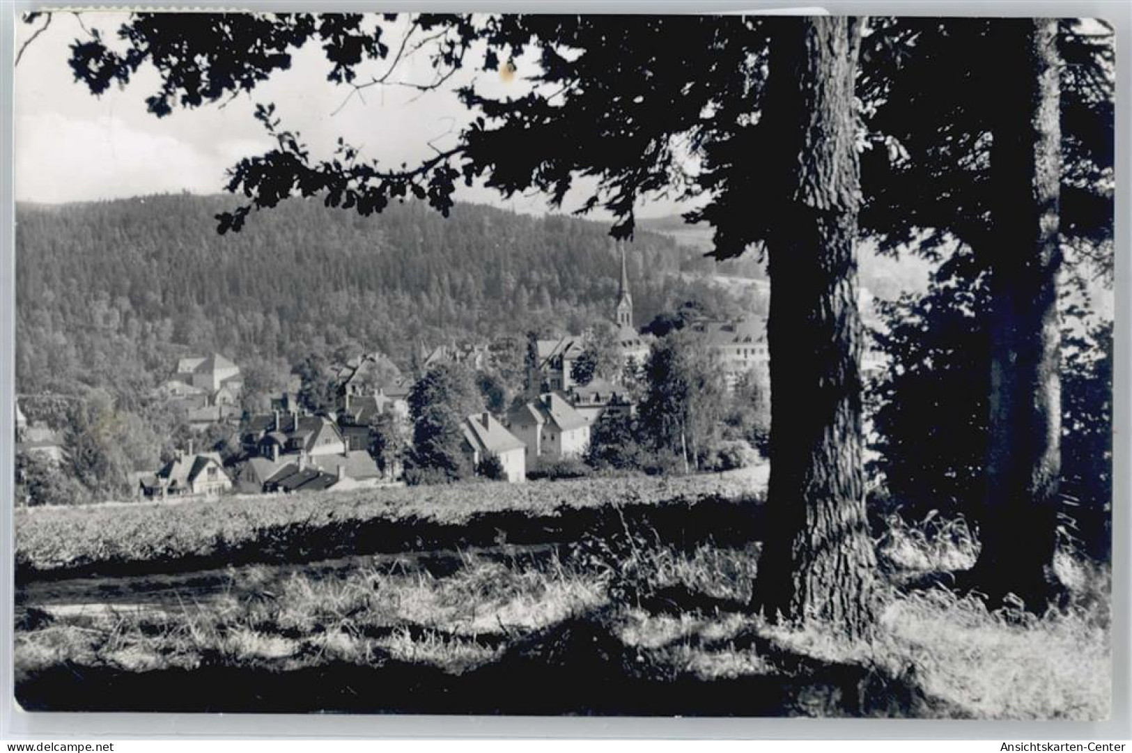 50865006 - Bad Brambach