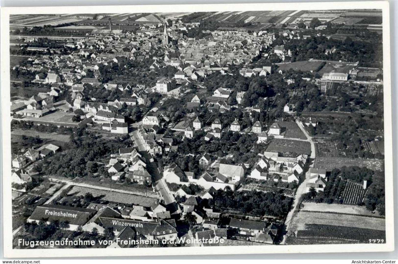 50866126 - Freinsheim