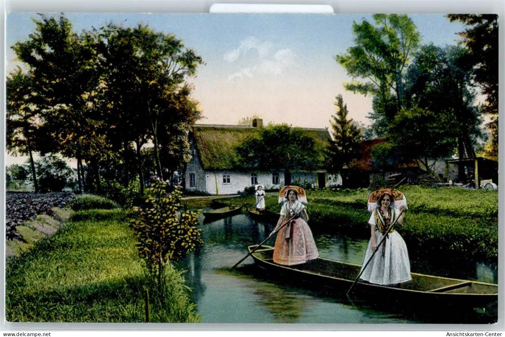 50866854 - Kaupen , Spreewald