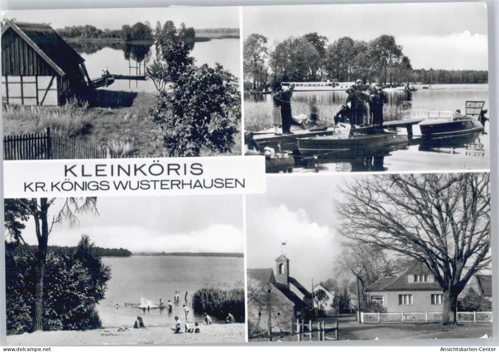 50868616 - Kleinkoeris