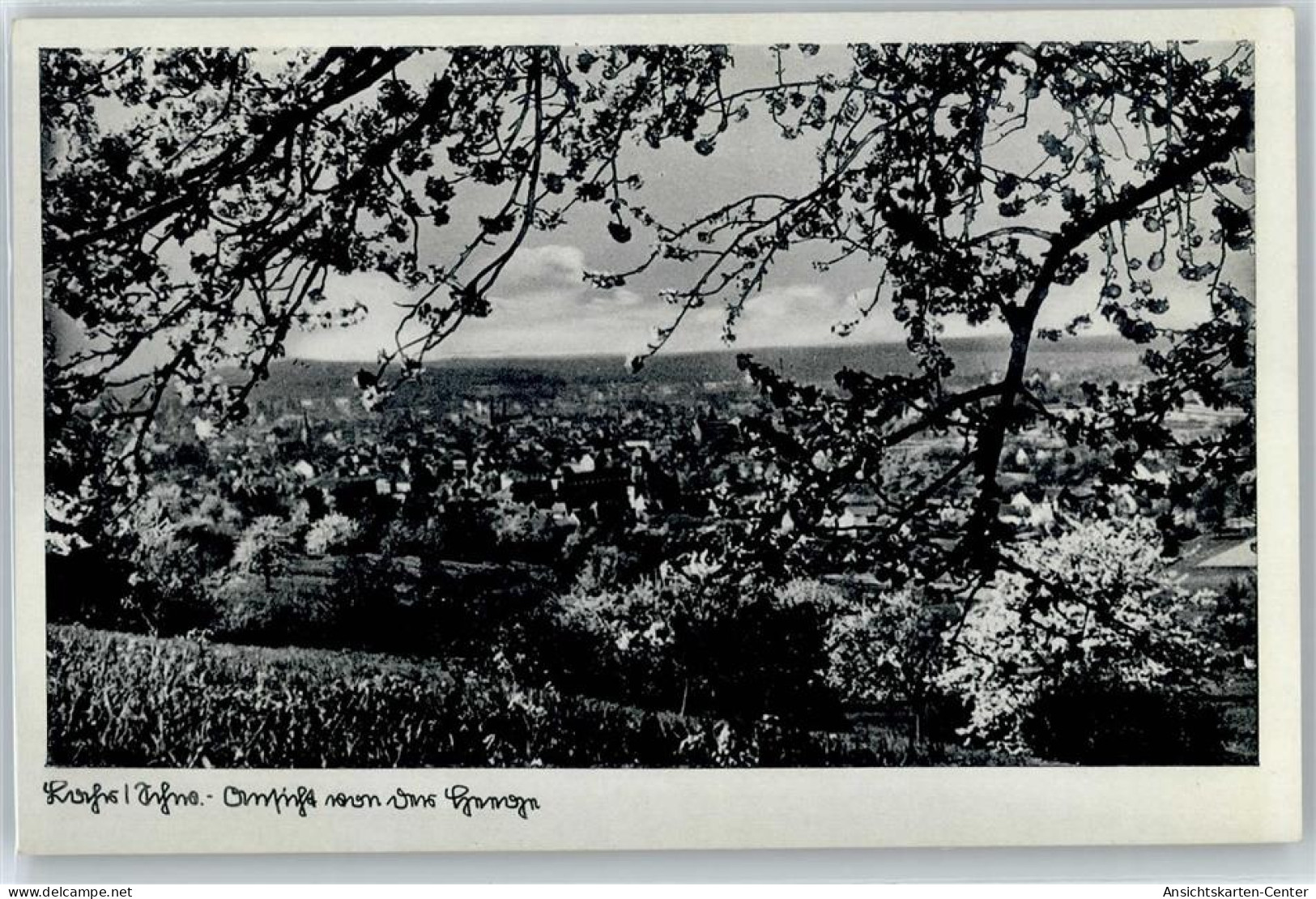 50869179 - Lahr , Schwarzwald