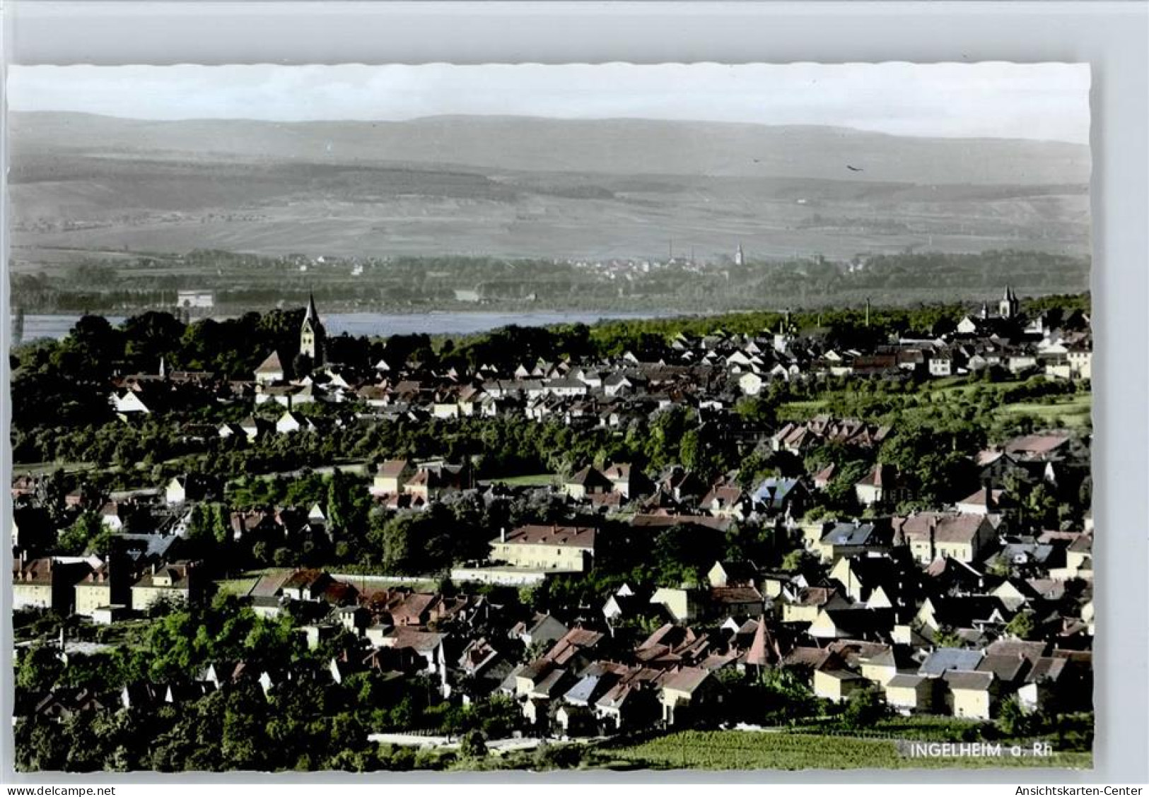 50870560 - Ingelheim am Rhein