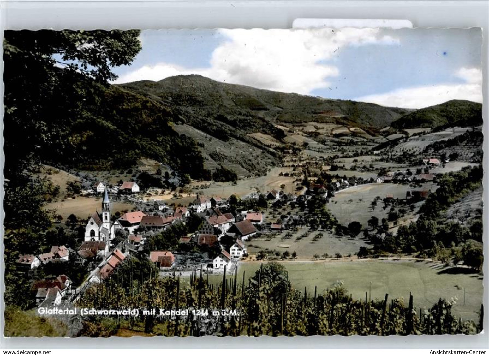 50870576 - Glottertal