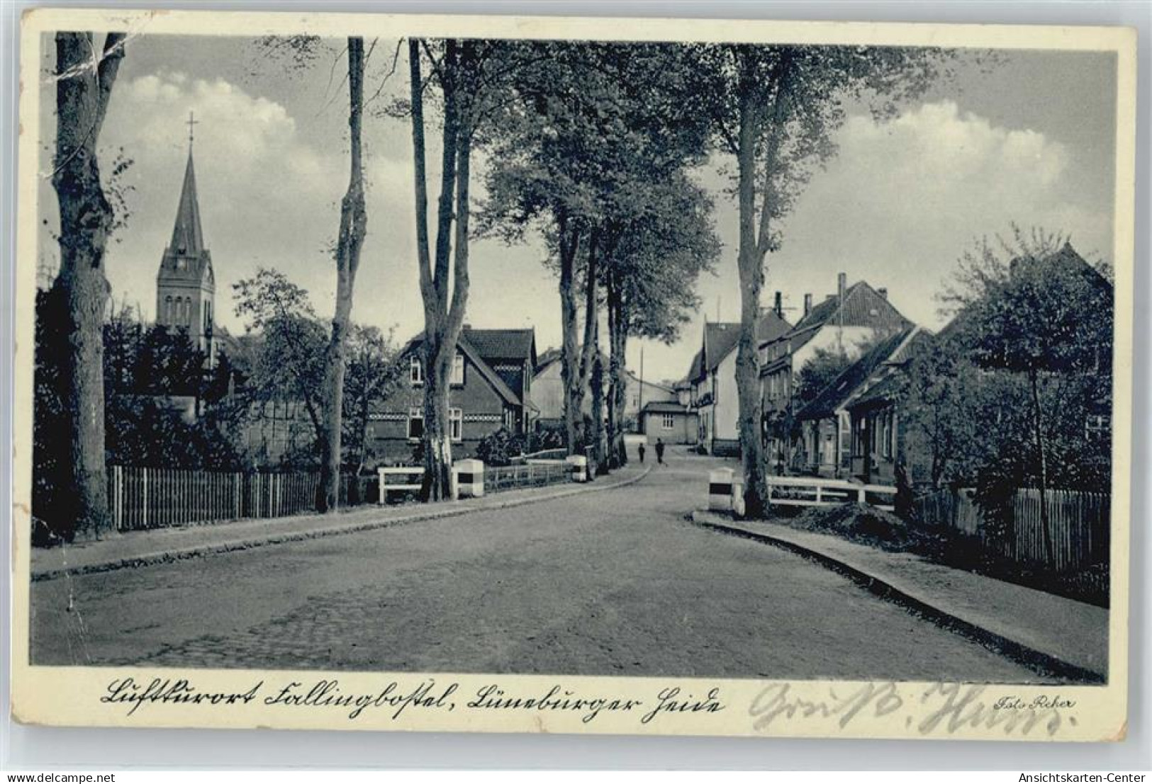 50878205 - Fallingbostel