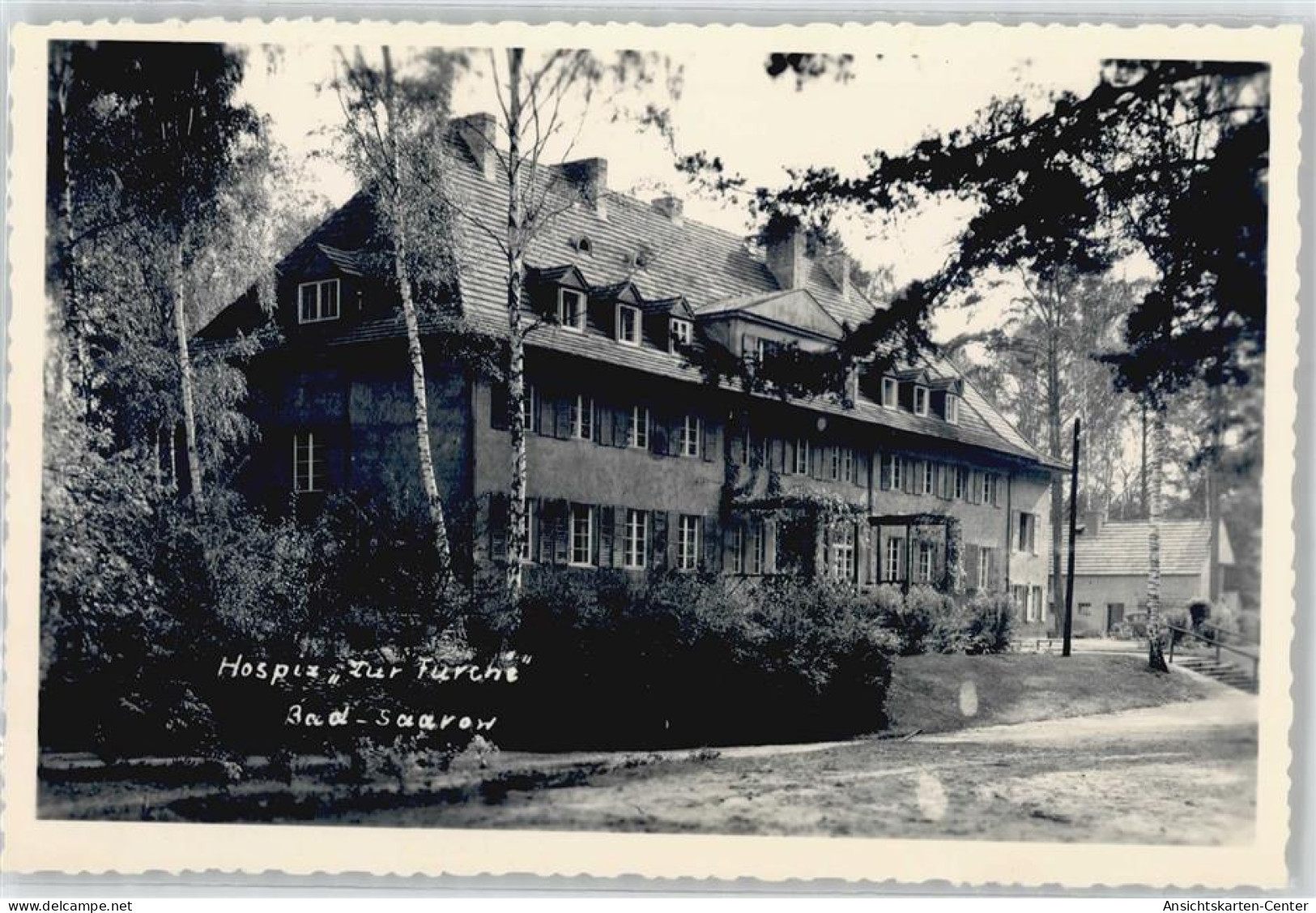 50878317 - Bad Saarow