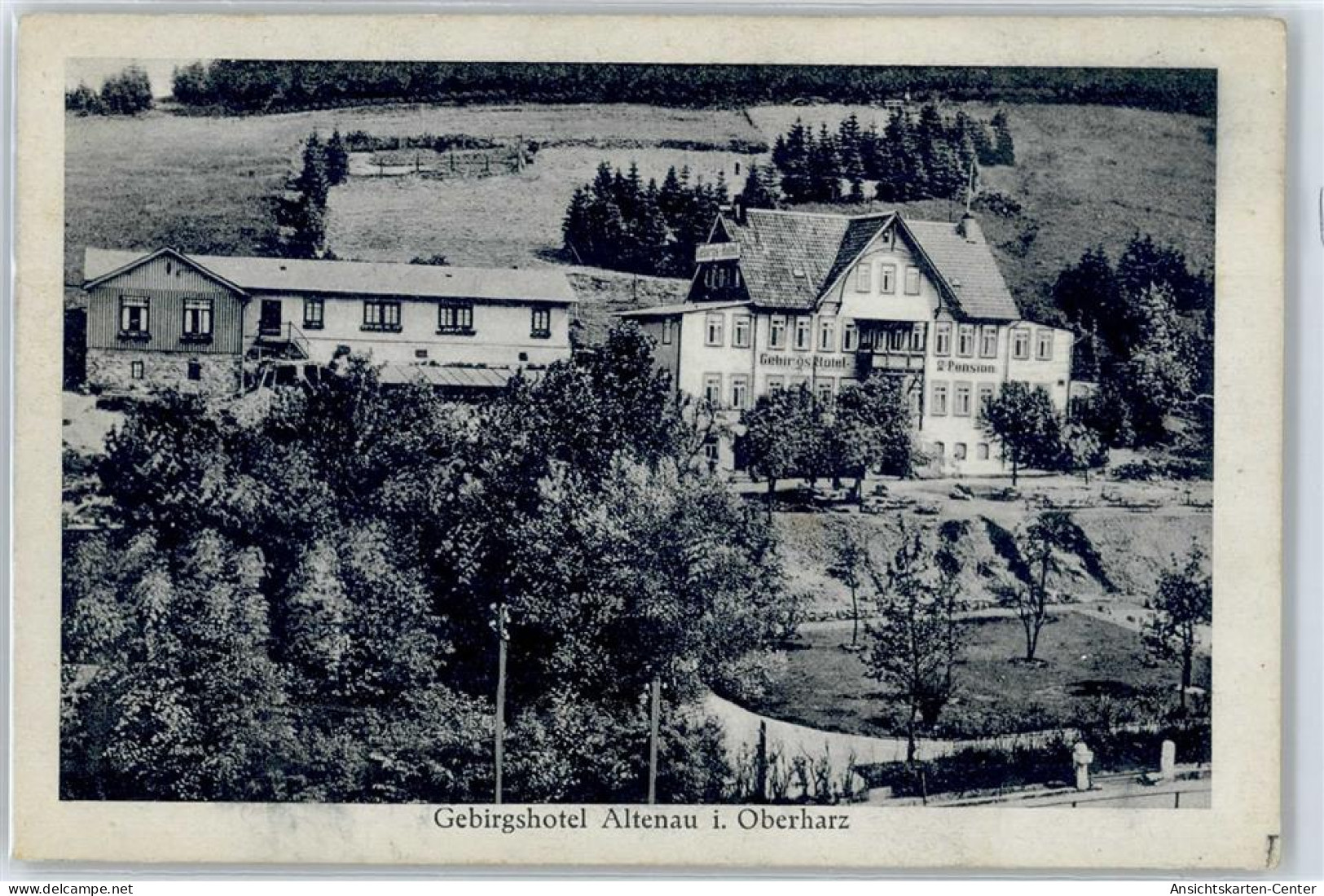 50879041 - Altenau , Harz