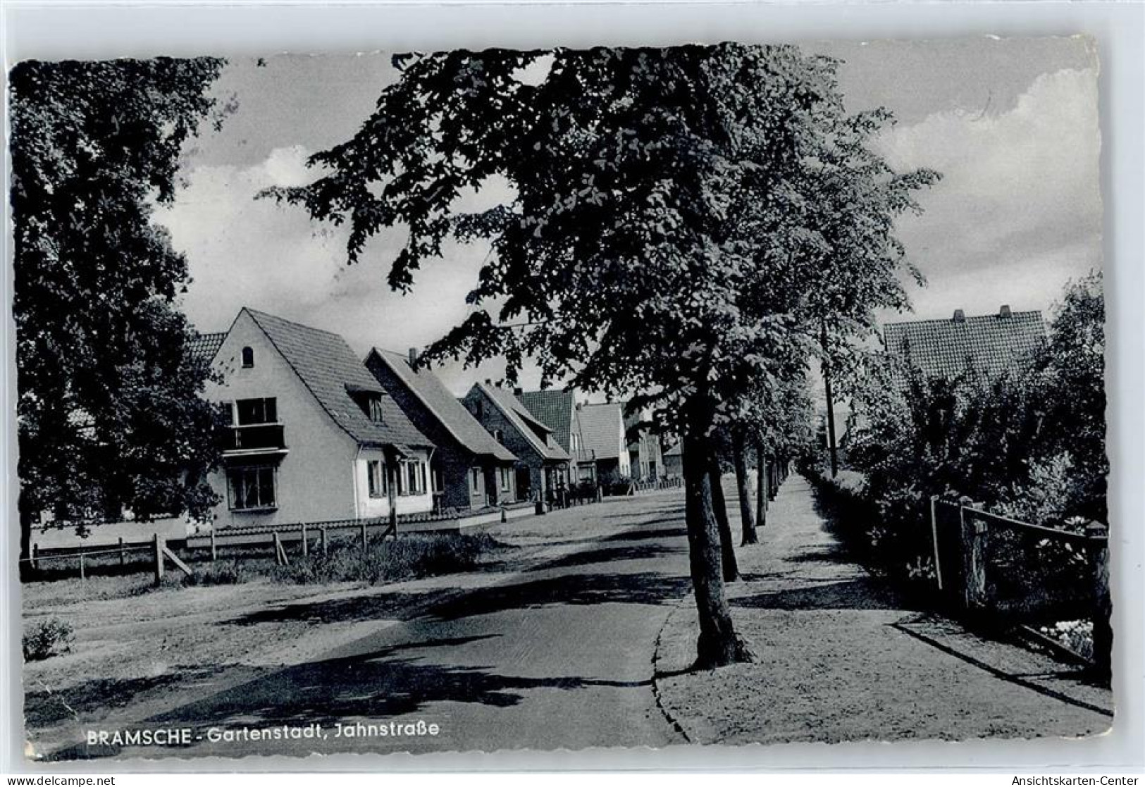 50879274 - Bramsche , Hase