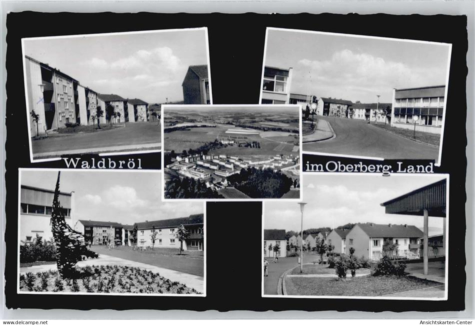 50880100 - Waldbroel