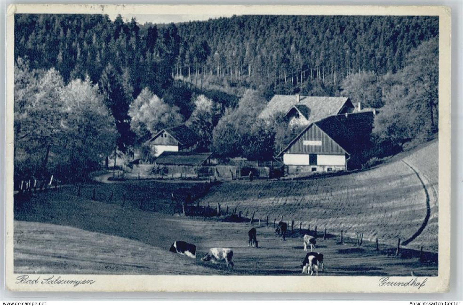 50880635 - Bad Salzungen