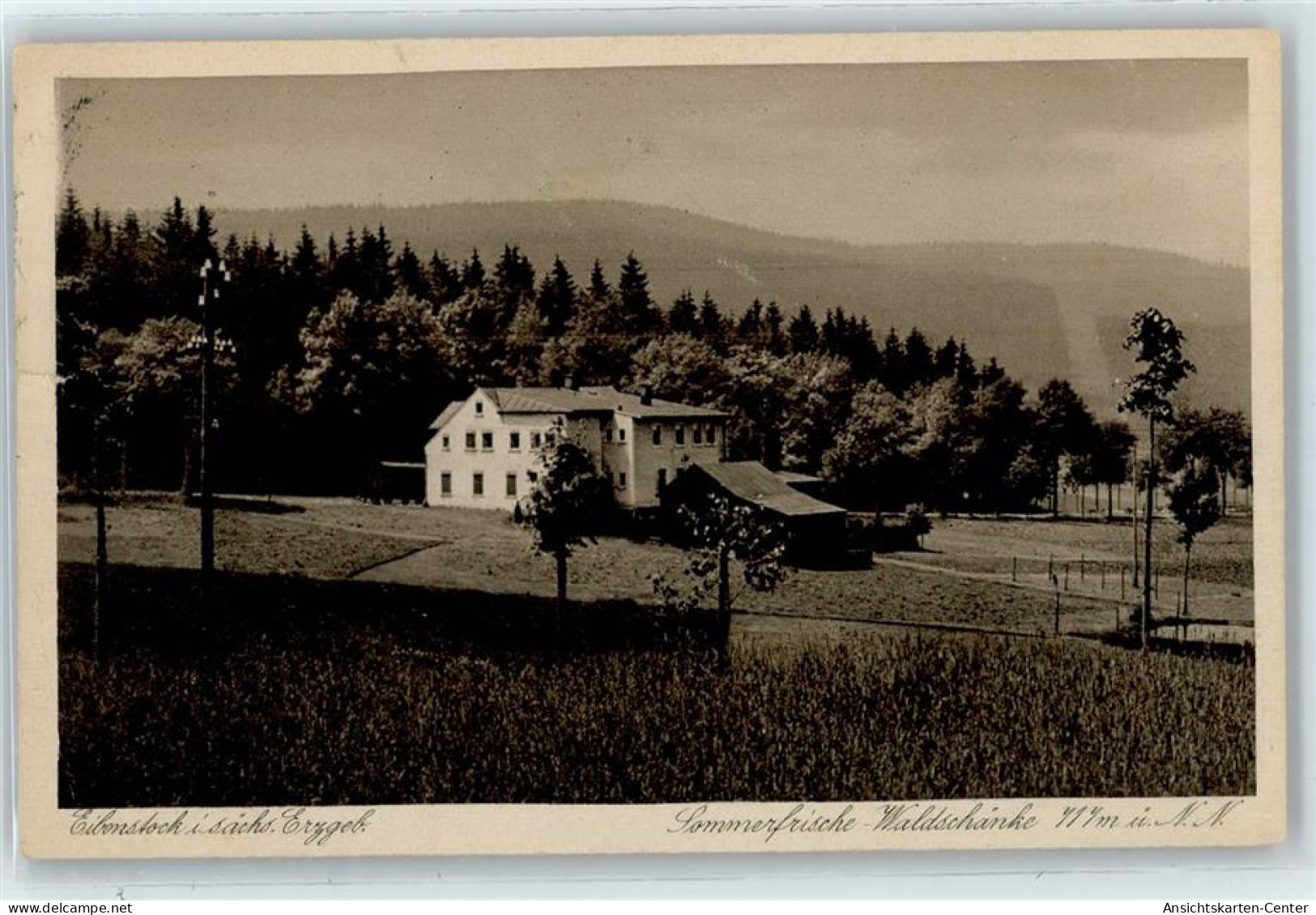 50887487 - Eibenstock