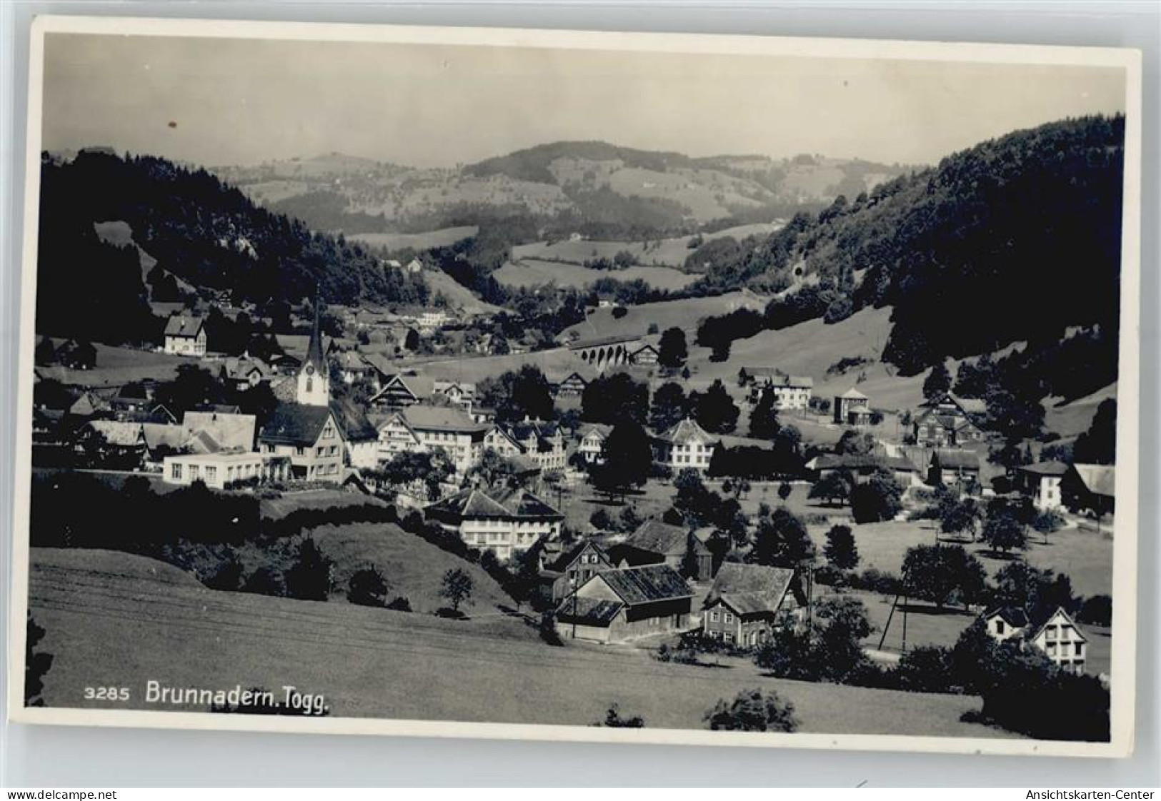 50894869 - Brunnadern