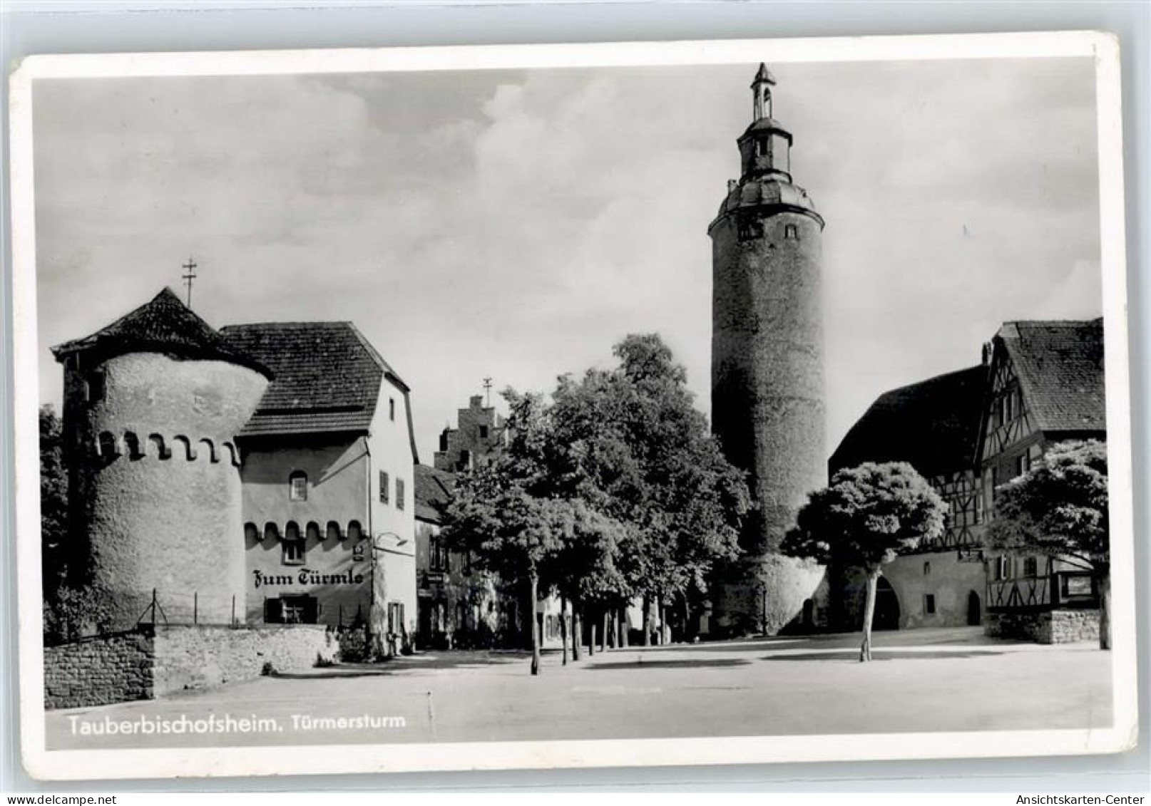 50905910 - Tauberbischofsheim