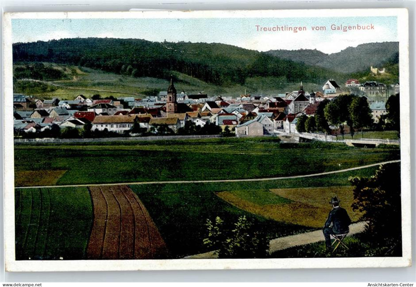 50924804 - Treuchtlingen