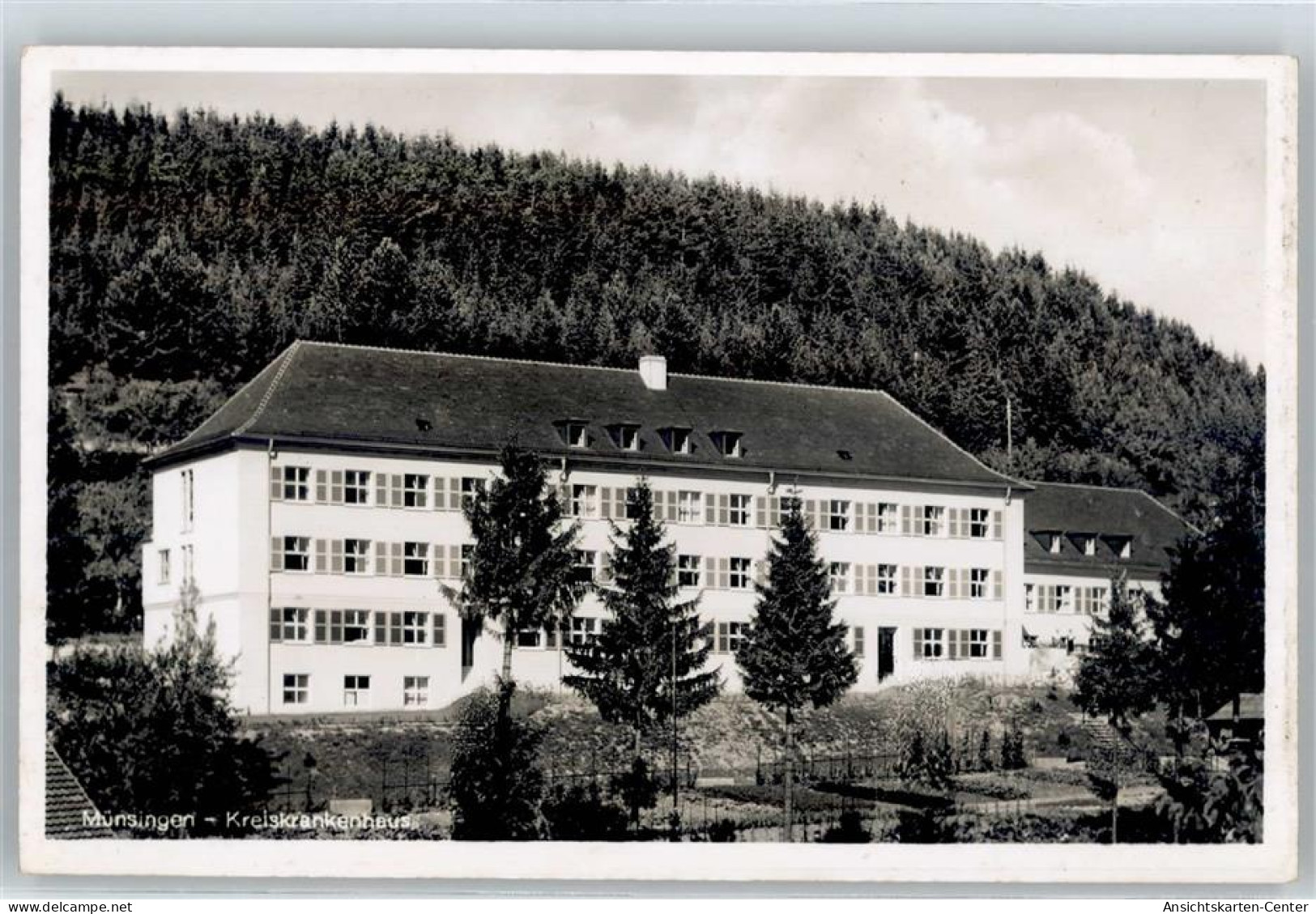 50943446 - Muensingen , Wuertt