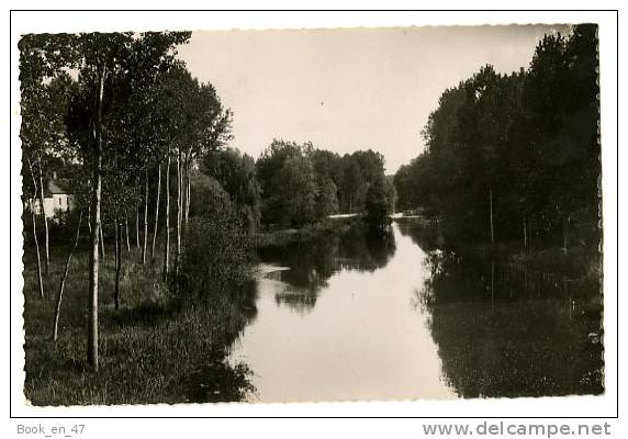 {50944} 77 Seine et Marne Bagneaux sur Loing , Vue sur le Loing. " en baisse "