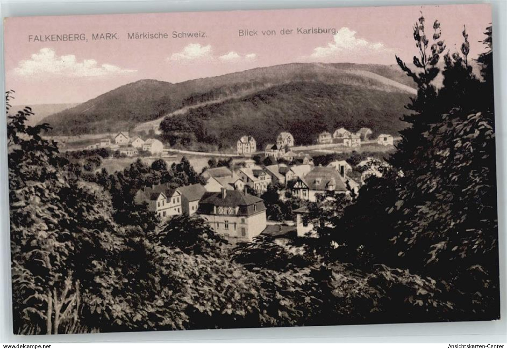 50953948 - Falkenberg , Mark